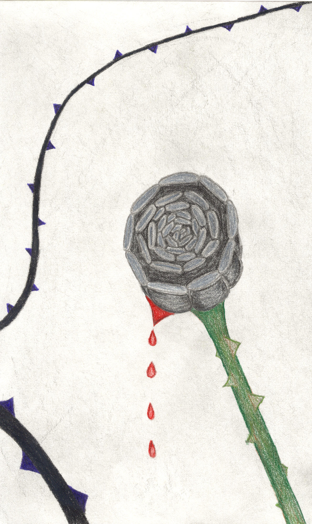 bleedingrose.jpg